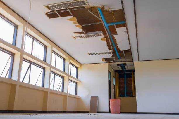 Best Water damage restoration near me  in Unionville, TN