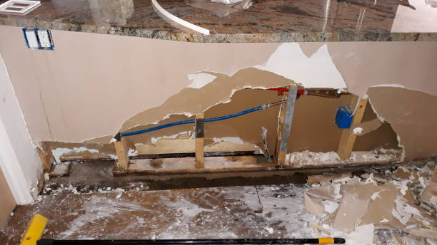 Best Mold removal after water damage  in Unionville, TN