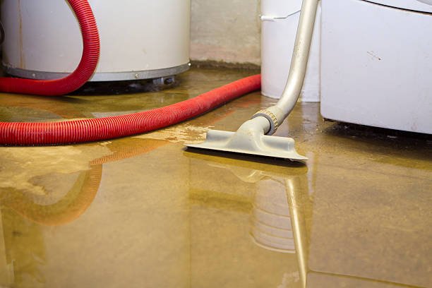 Best Flood damage cleanup  in Unionville, TN