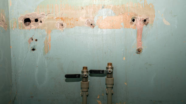 Best 24-hour water damage restoration  in Unionville, TN
